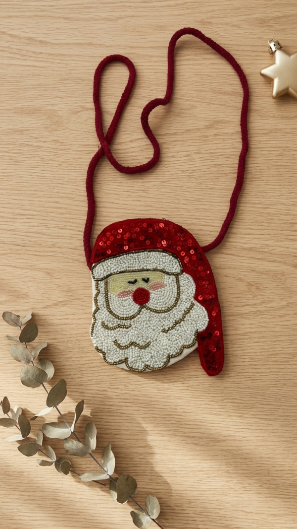 Santa Sparkle  Zipper Pouch