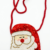 Santa Sparkle  Zipper Pouch